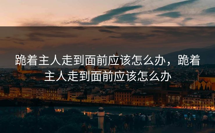 跪着主人走到面前应该怎么办,跪着主人走到面前应该怎么办 跪着主人走到面前应该怎么办,跪着主人走到面前应该怎么办