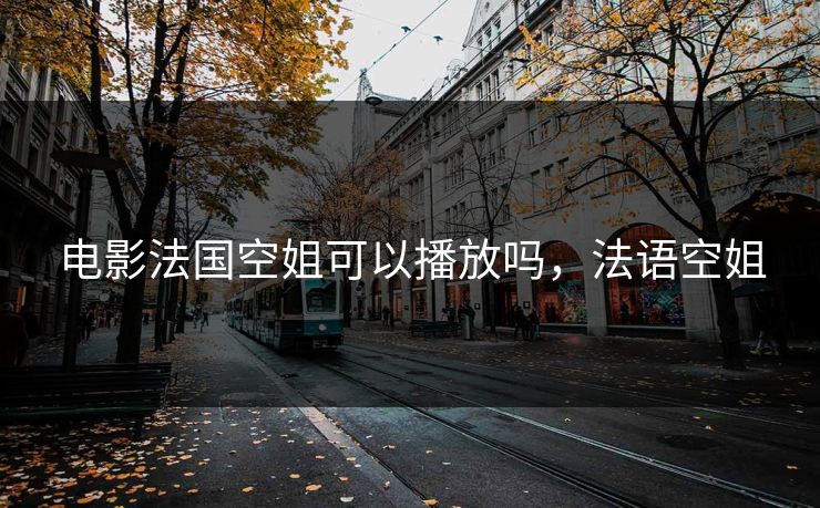 电影法国空姐可以播放吗，法语空姐